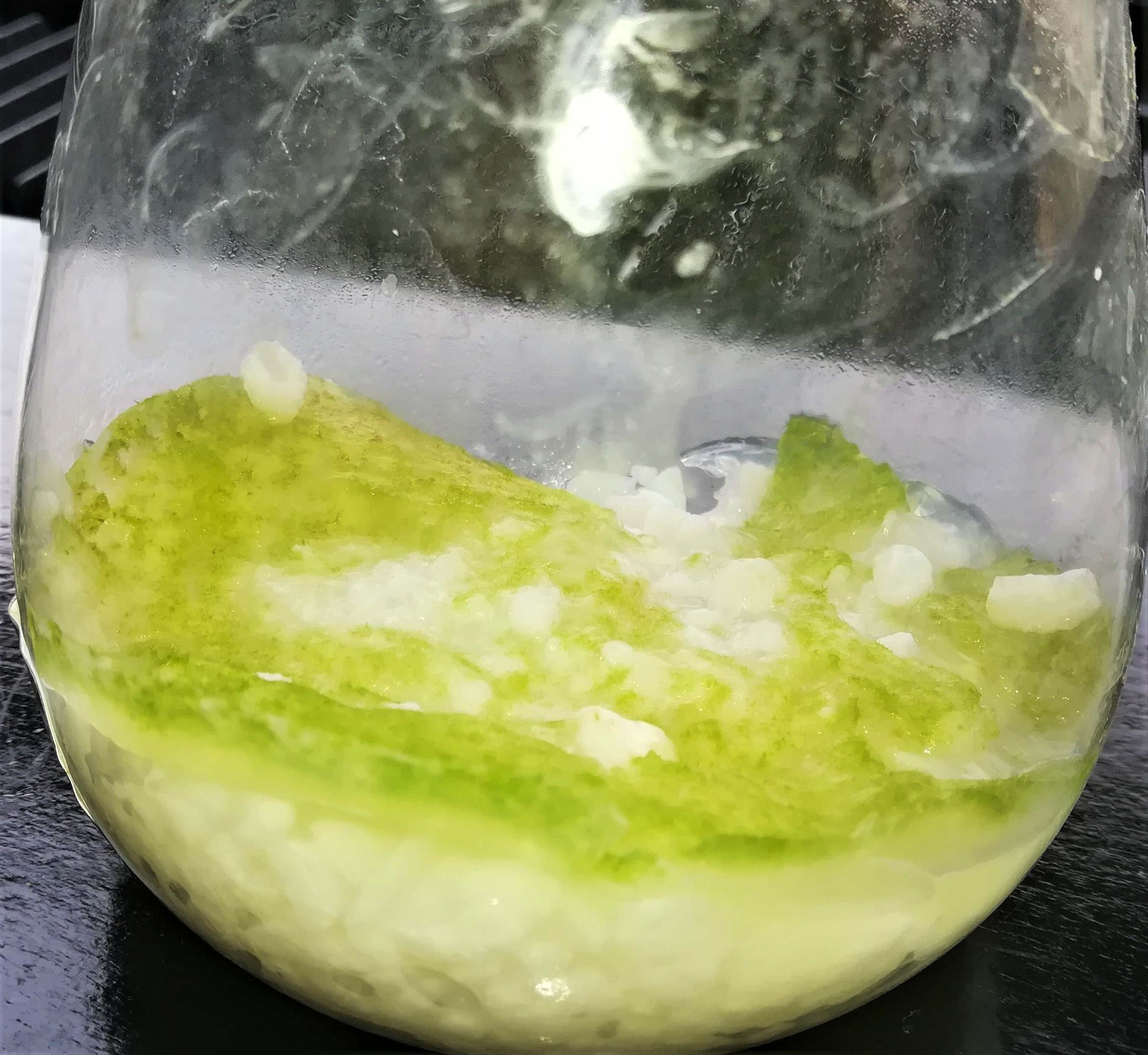 Green moss after 3 weeks