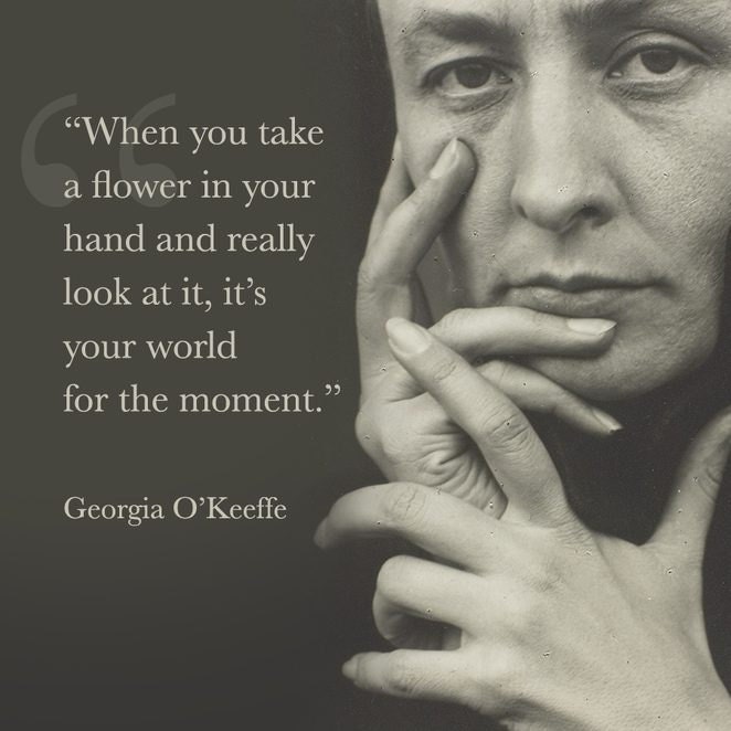 When you take a flower in your hand and really look at it, its your world for the moment. (Georgia OKeeffe)