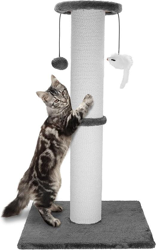 gray tabby using a scratching post