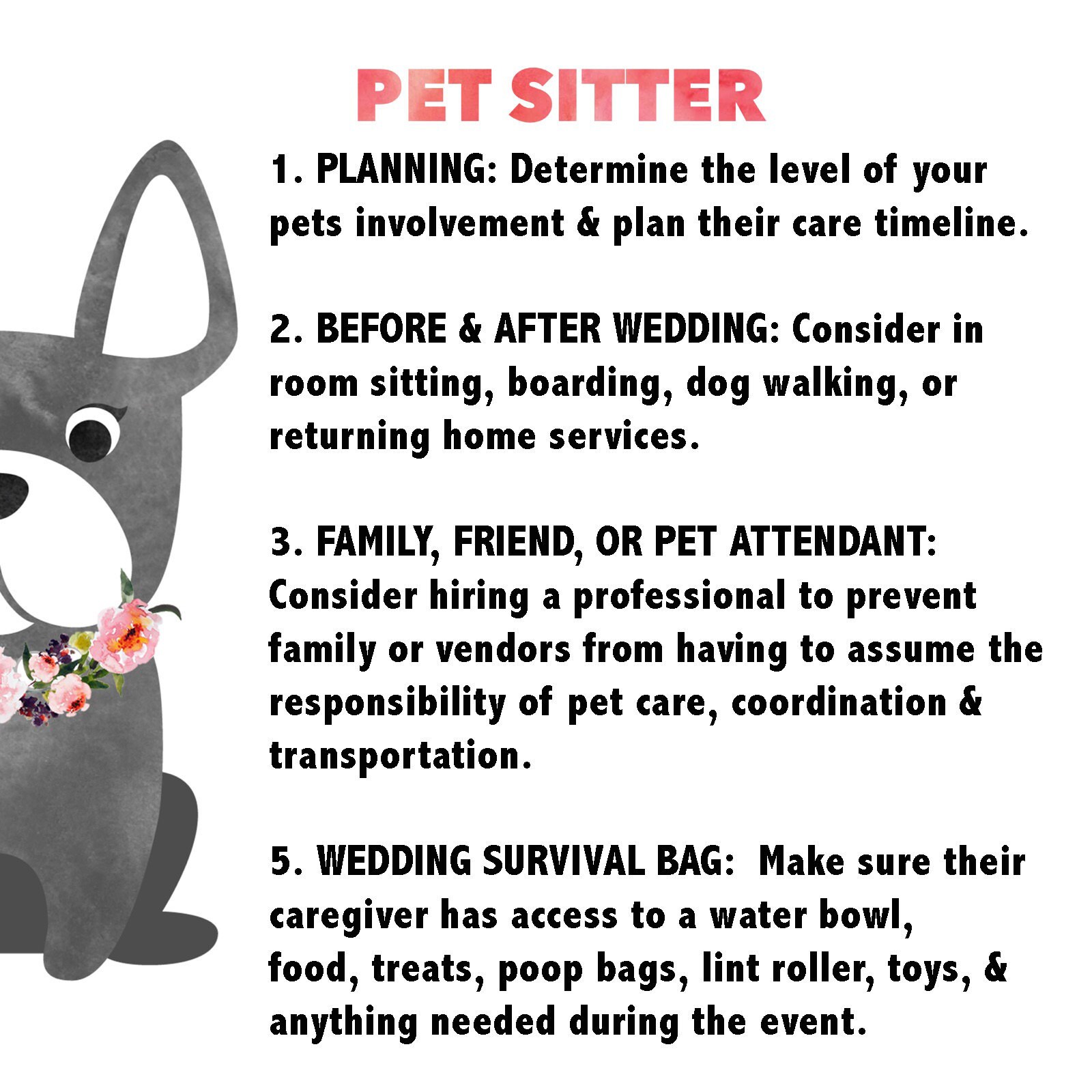 Pet Sitter
