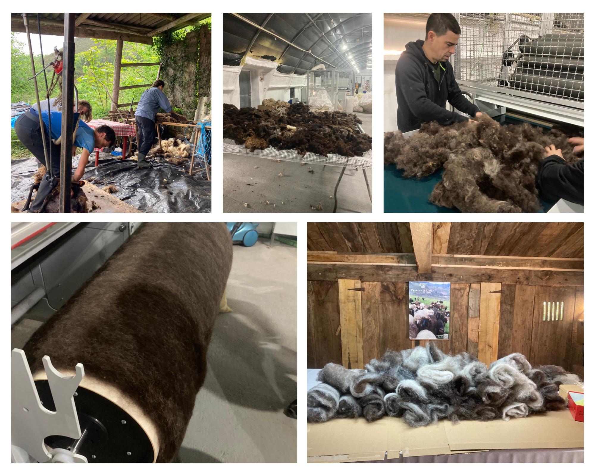 Proceso Walkers Wool