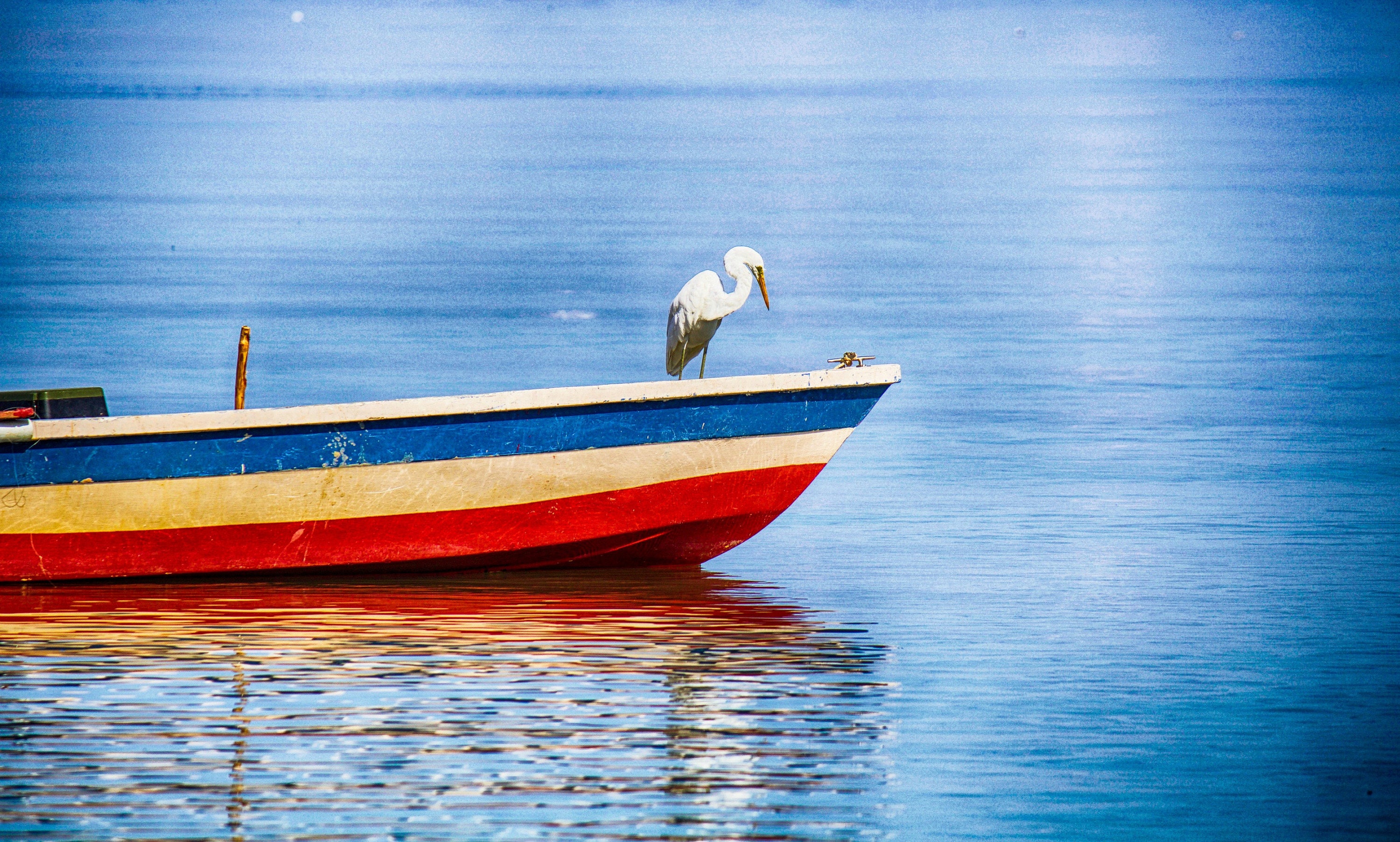 Kota Kinabalu