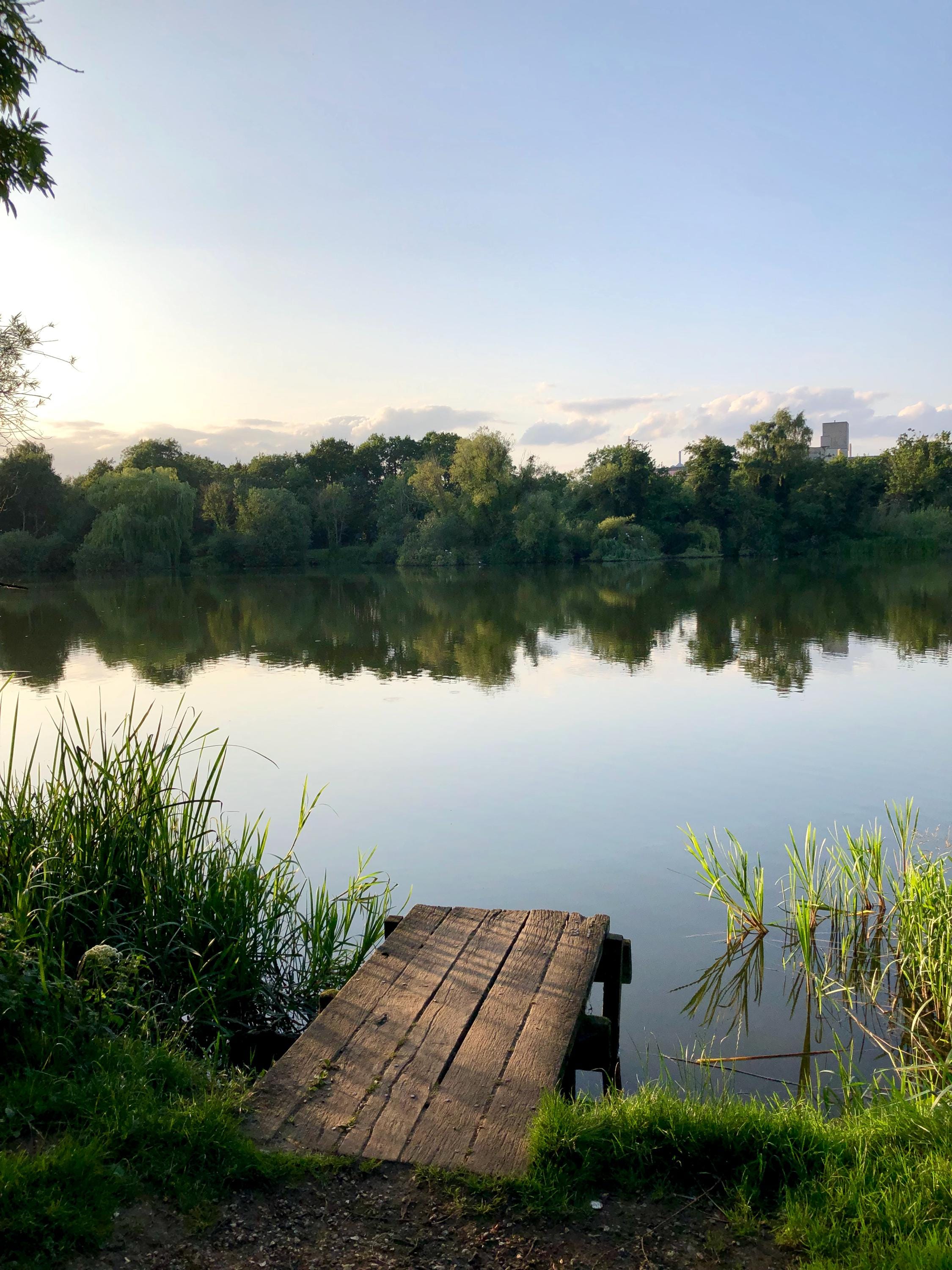 A boardwalk overlooking a lake. Trees are reflected in the distance on the other side of the lake