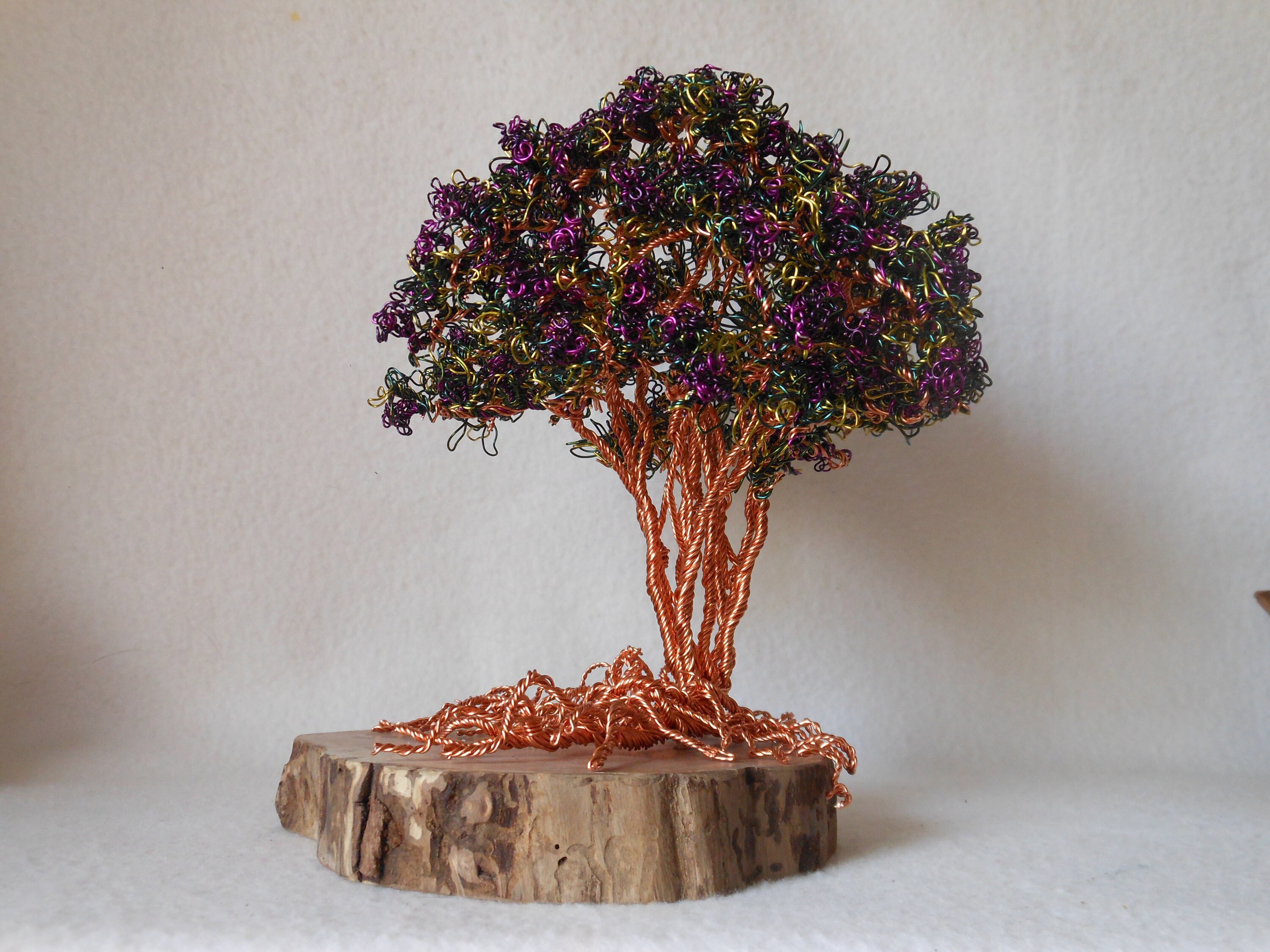 Crepe Myrtle