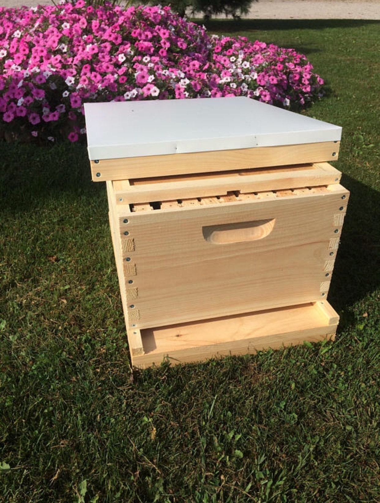 9 5/8 Deep Starter Bee Hive