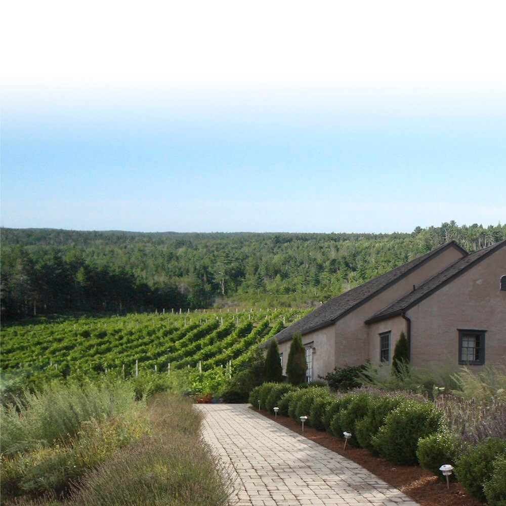 Petite Riviere Vineyard, Nova Scotia