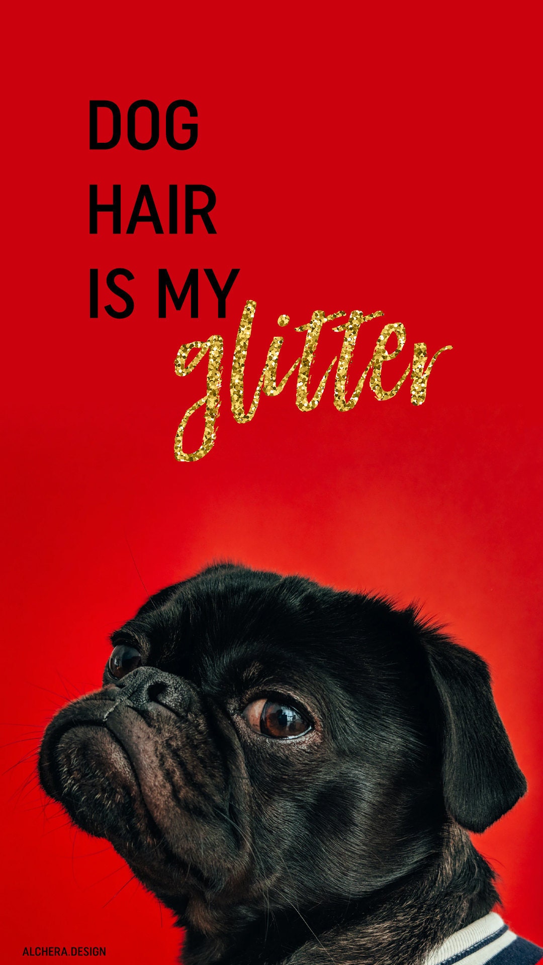 Dog hair is my glitter.