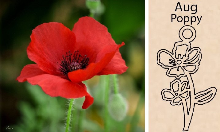 Poppy Flower By Necklace Dream World