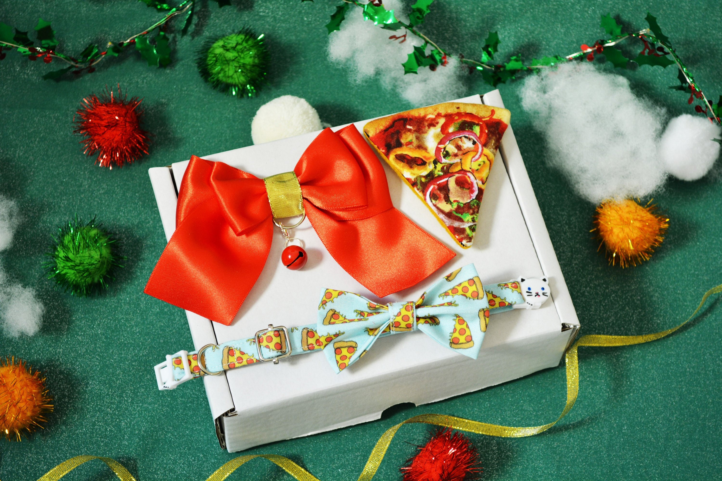Cat Christmas gift