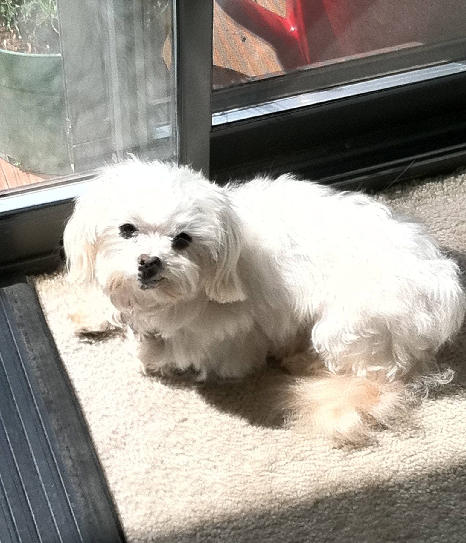 warm sunshine from the window
