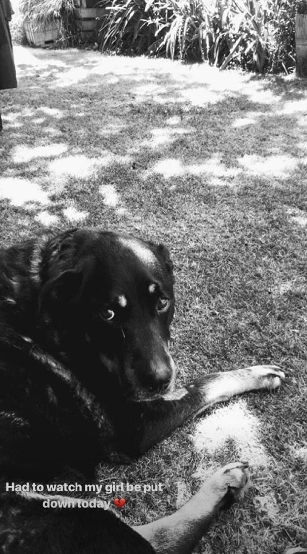 Roxy