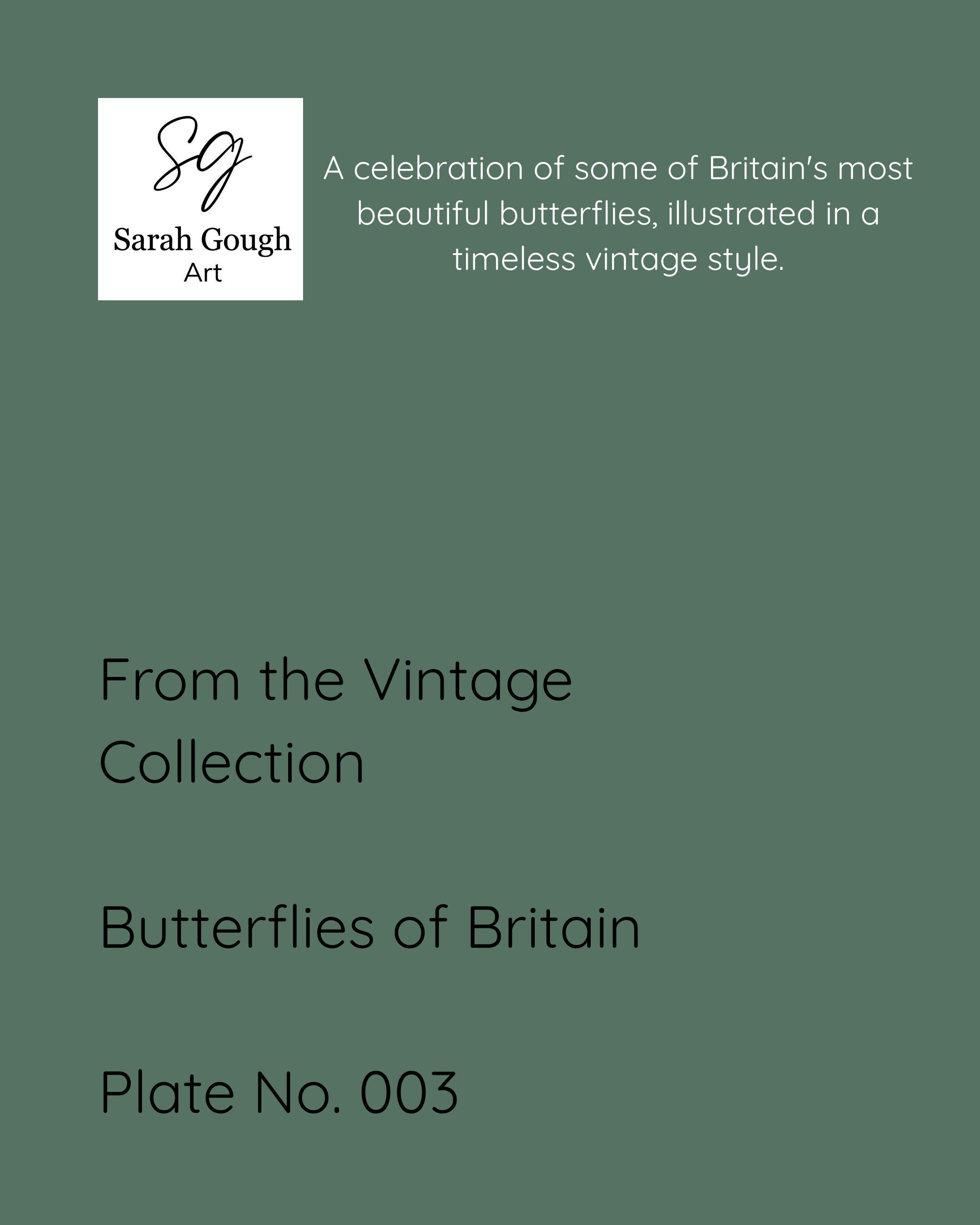A celebration of some of Britains most beautiful butterflies, illustrated in a timeless vintage style.