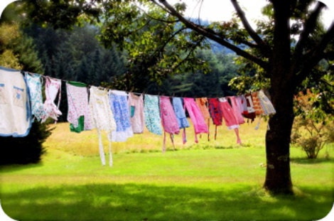 Photo Credit: Garden mama
