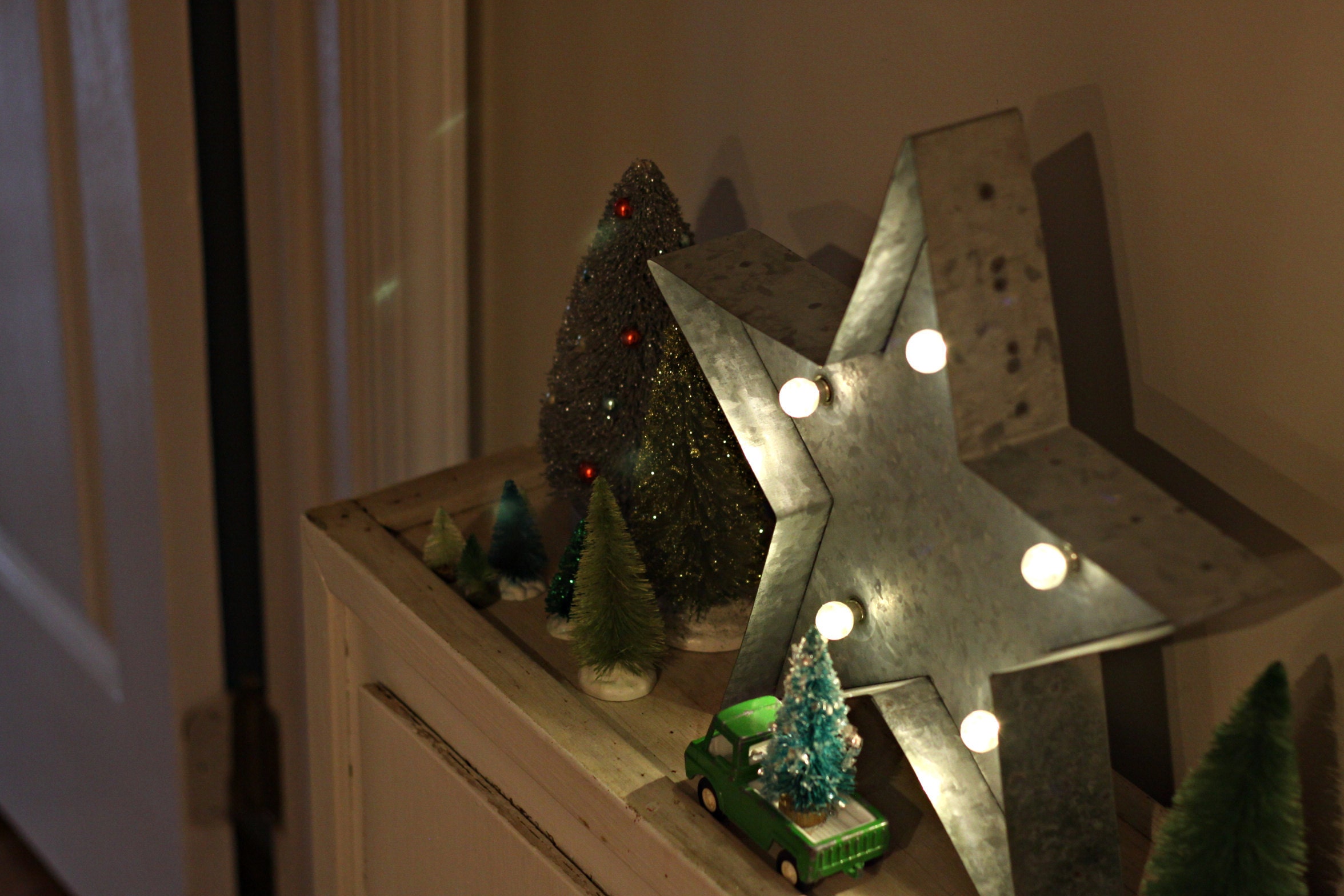 more bottle brush trees