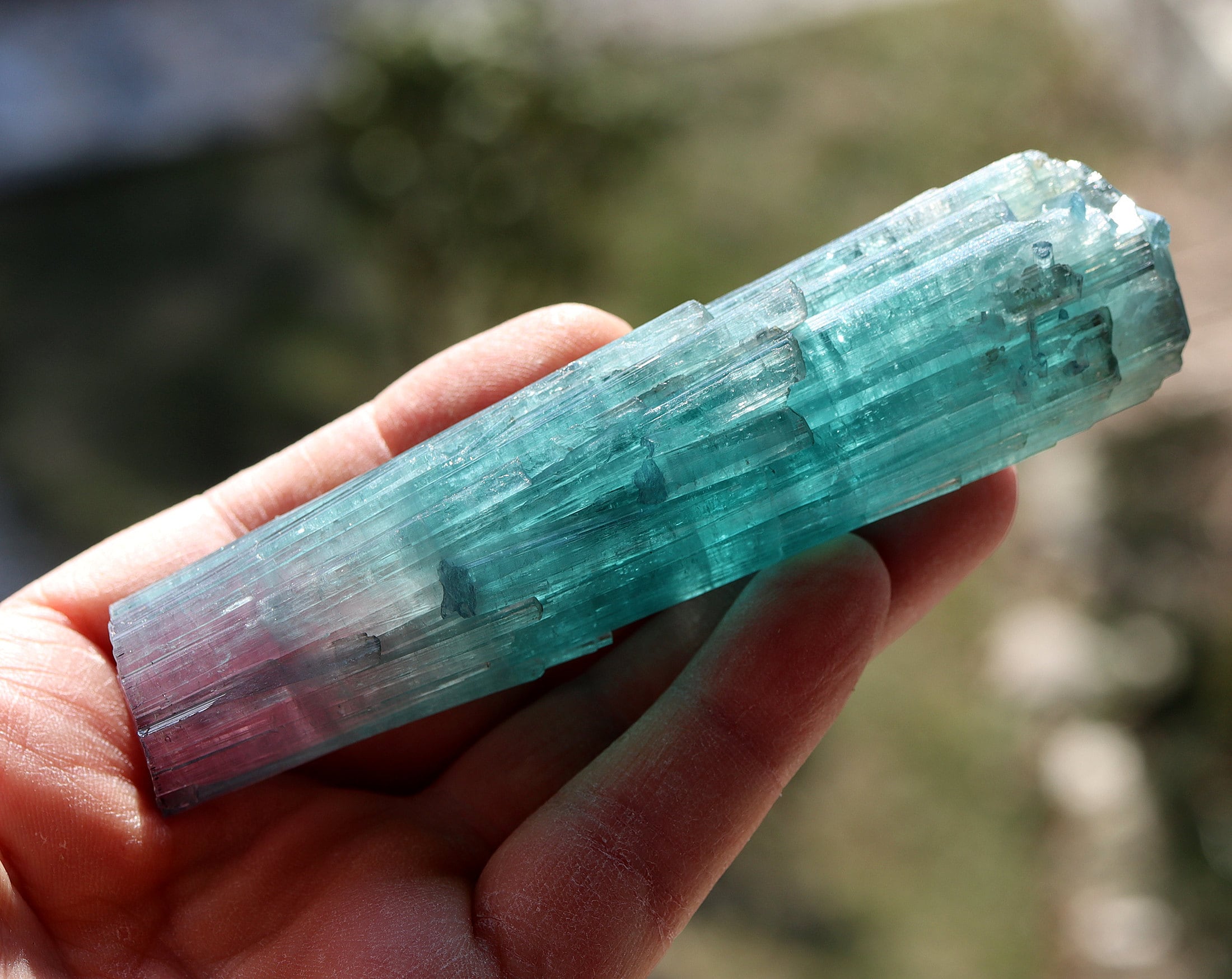 The Blue Flame Natural Elbaite crystal. Dara-e-Pech Kunar, Afghanistan. No damage. Ex D. Olsen collection 156.7 gram. 4.75 inch tall. Sold