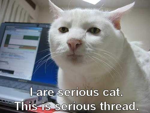 crying-cat-meme-funny