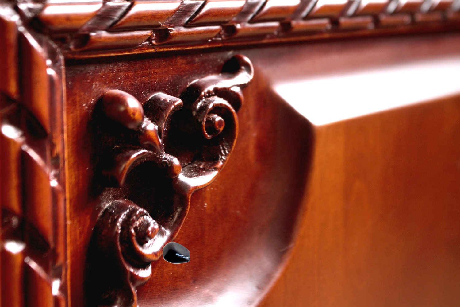 cocobolo
