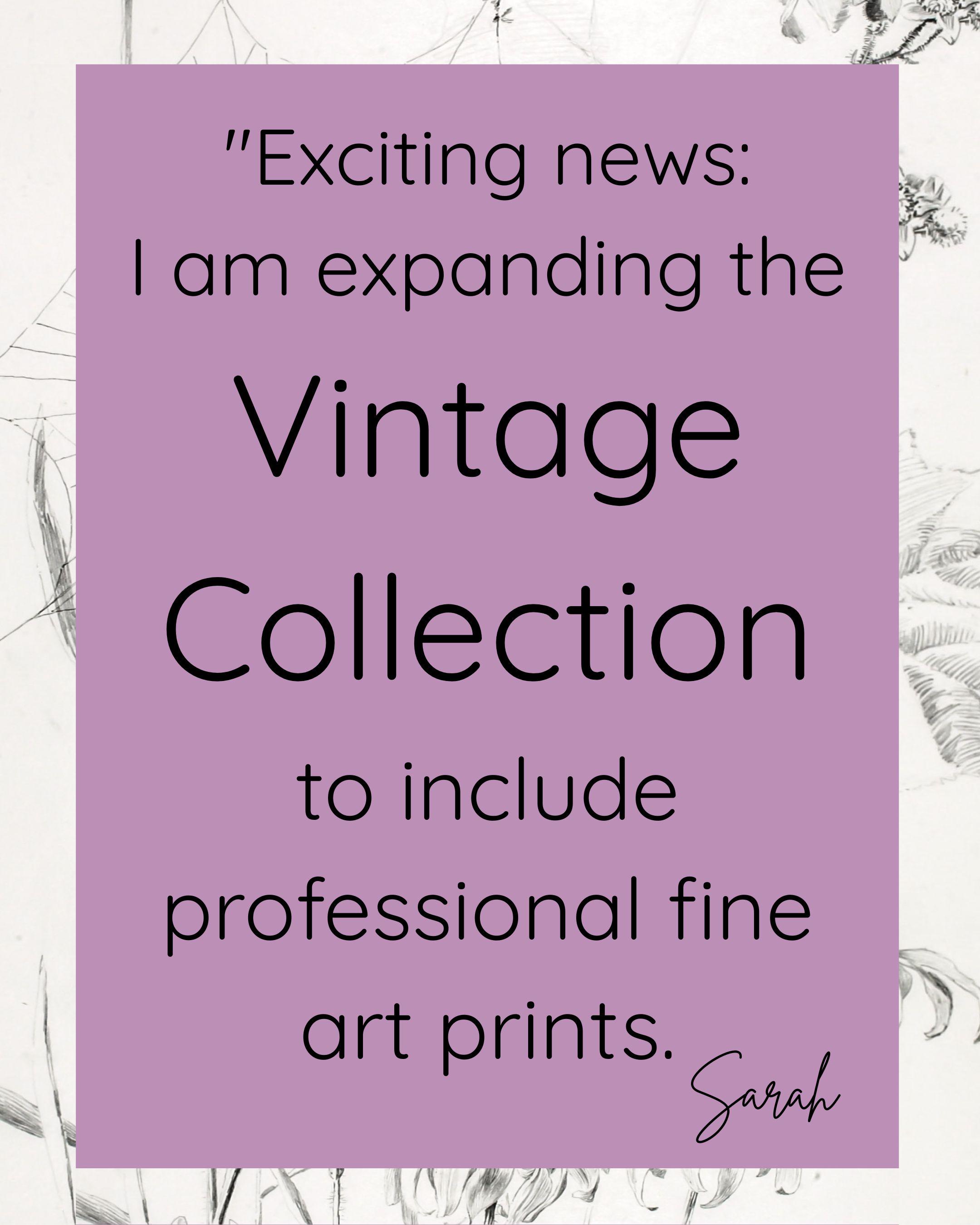 Exciting news! Sarah Goughs Vintage Collection is expanding and single prints or curated sets will be made available over the coming months.