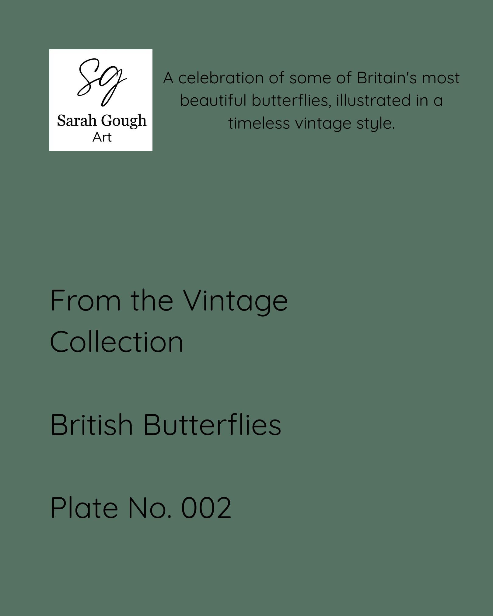 A celebration of some of Britains most beautiful butterflies, illustrated in a timeless vintage style.