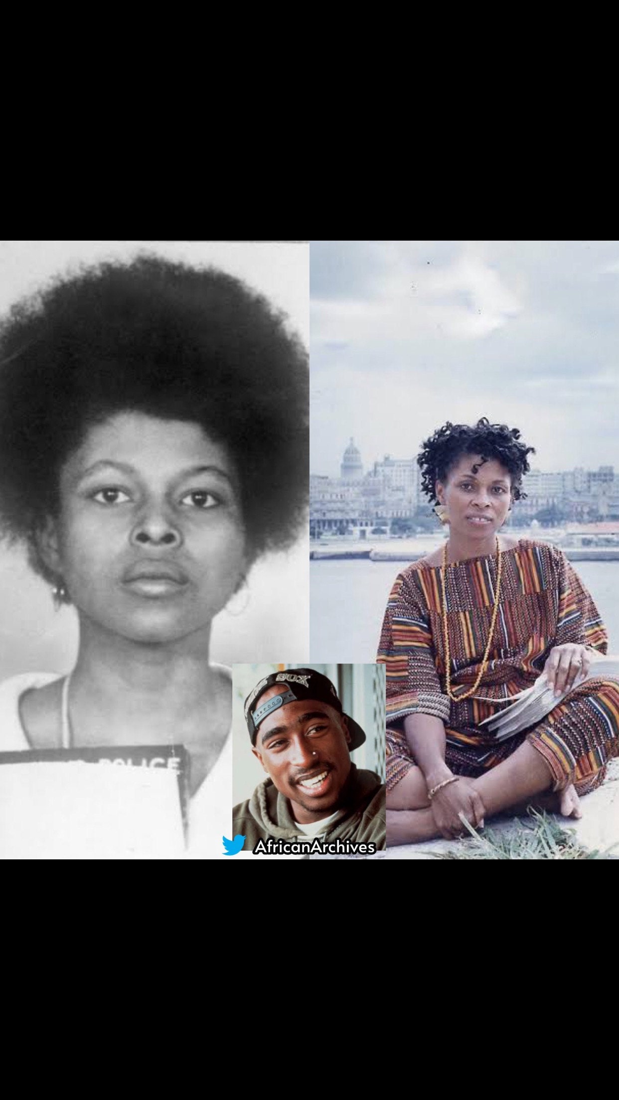 Black Excellence-Assata Shakur