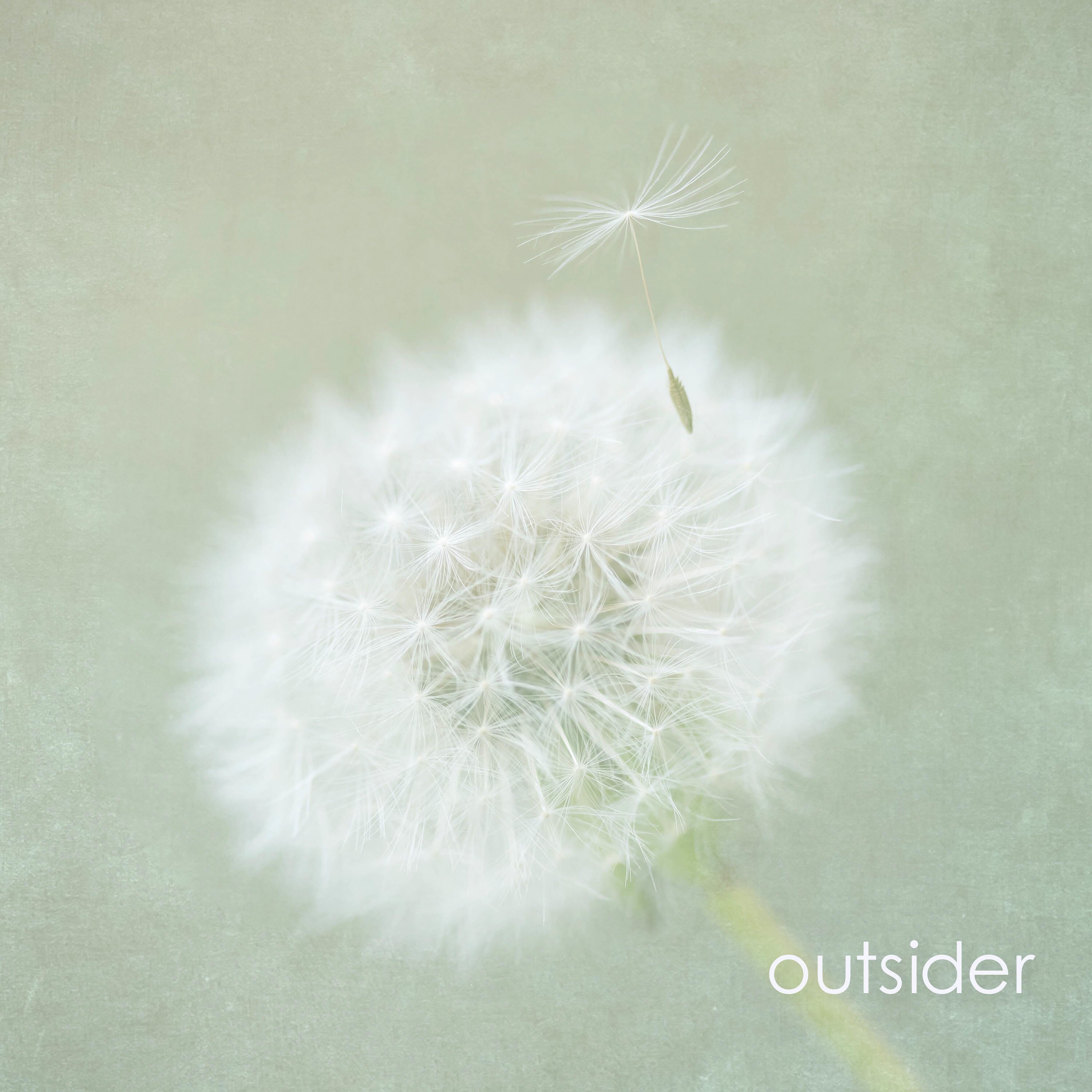 pale green dandelion ready to hang wall art and fine art prints in custom sizes