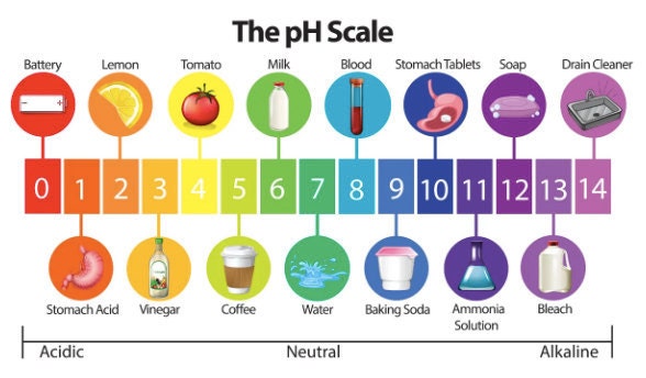 pH Scale