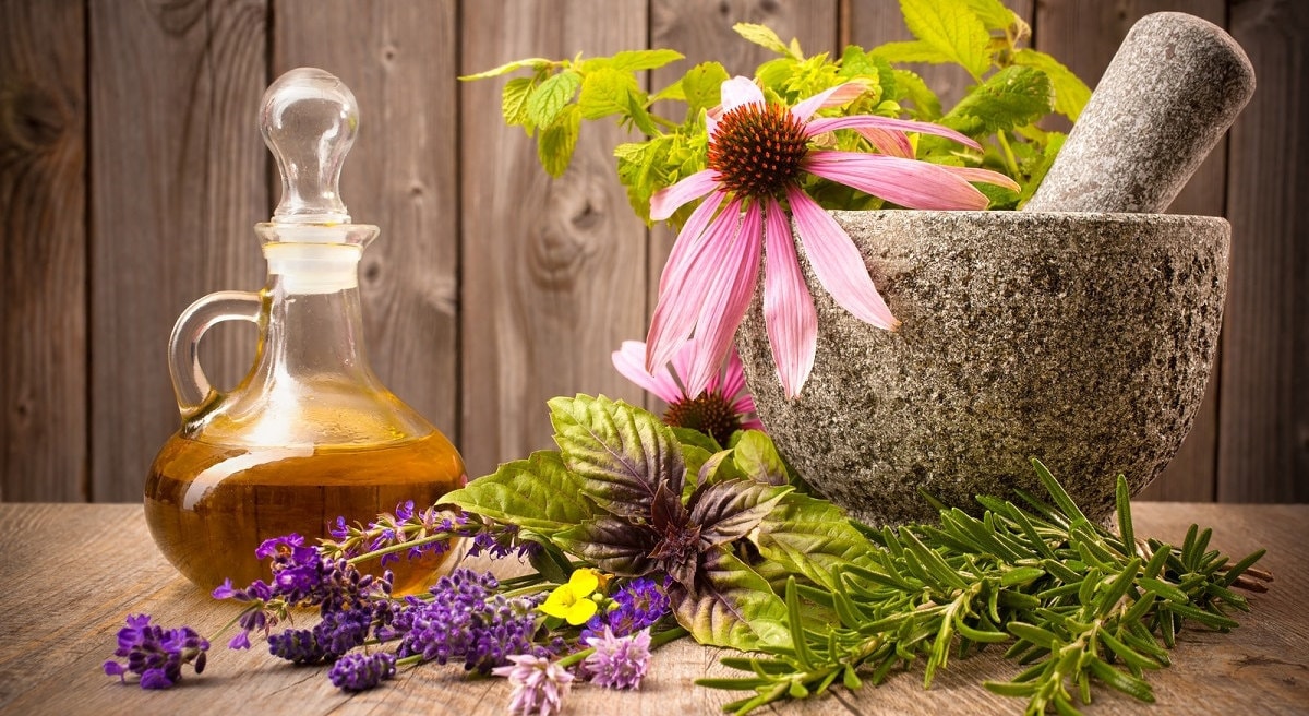 Personal Herbal Plan