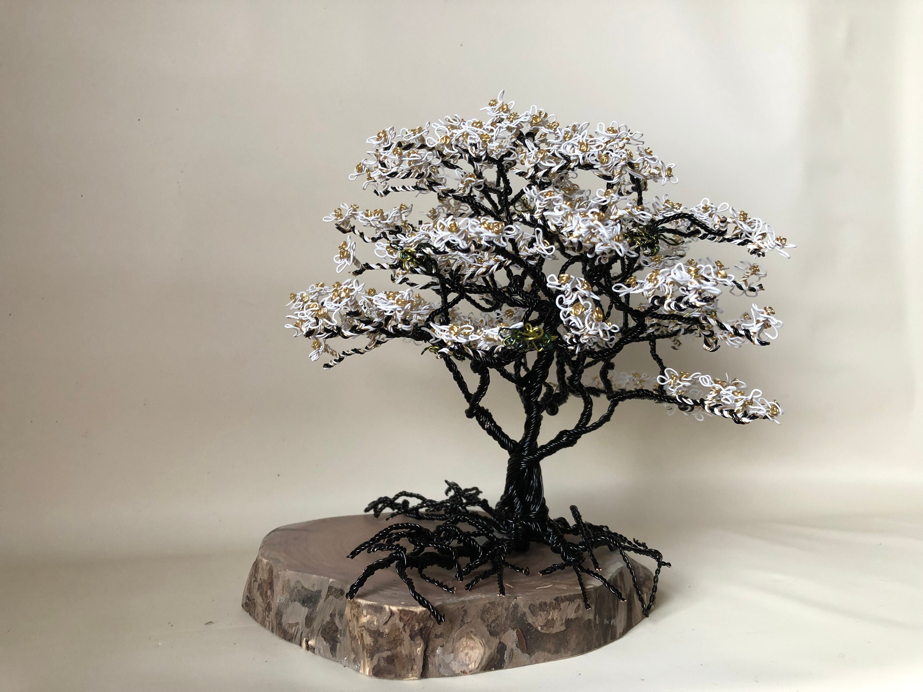 White Dogwood