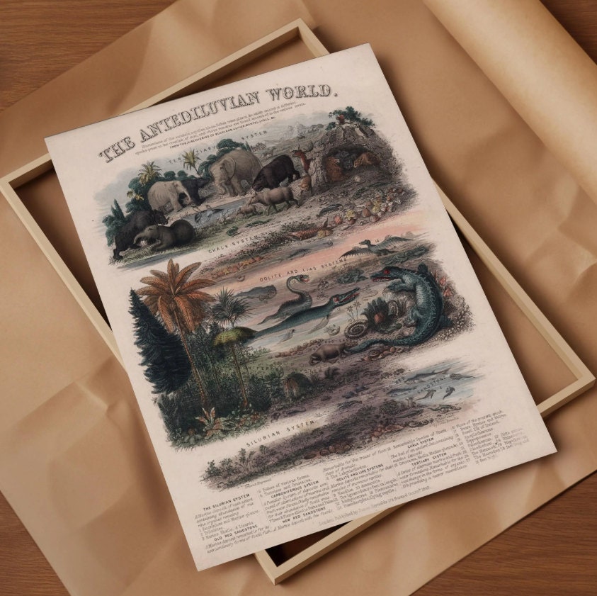 A vintage lithograph titled The Antediluvian World lying in a flat box lined with brown wrapping paper, highlighting its vibrant illustrations of prehistoric animals and geological systems, ready for display or gifting