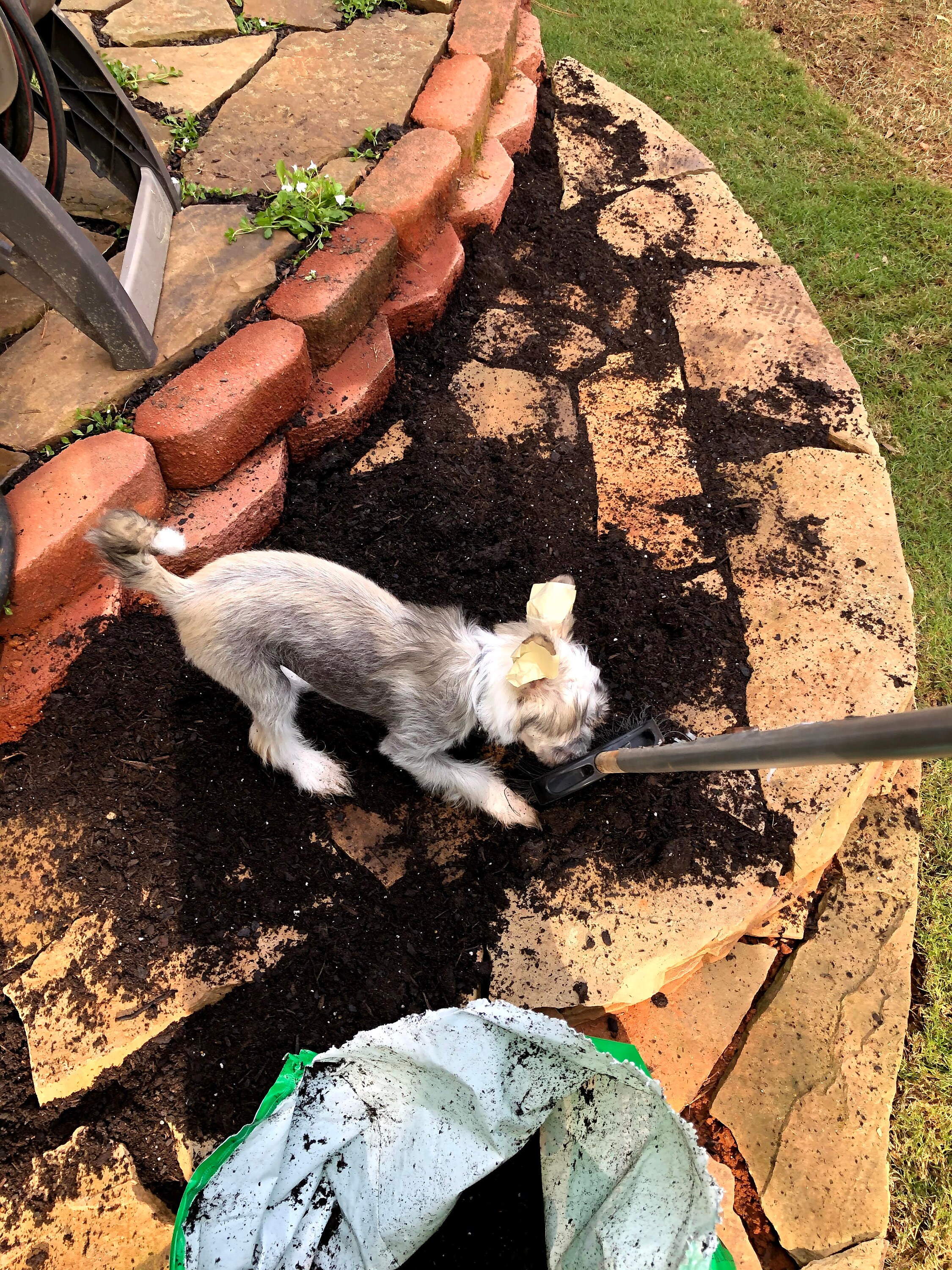 Garden Help