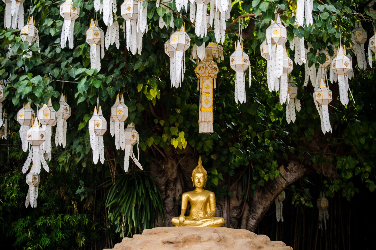 buddha