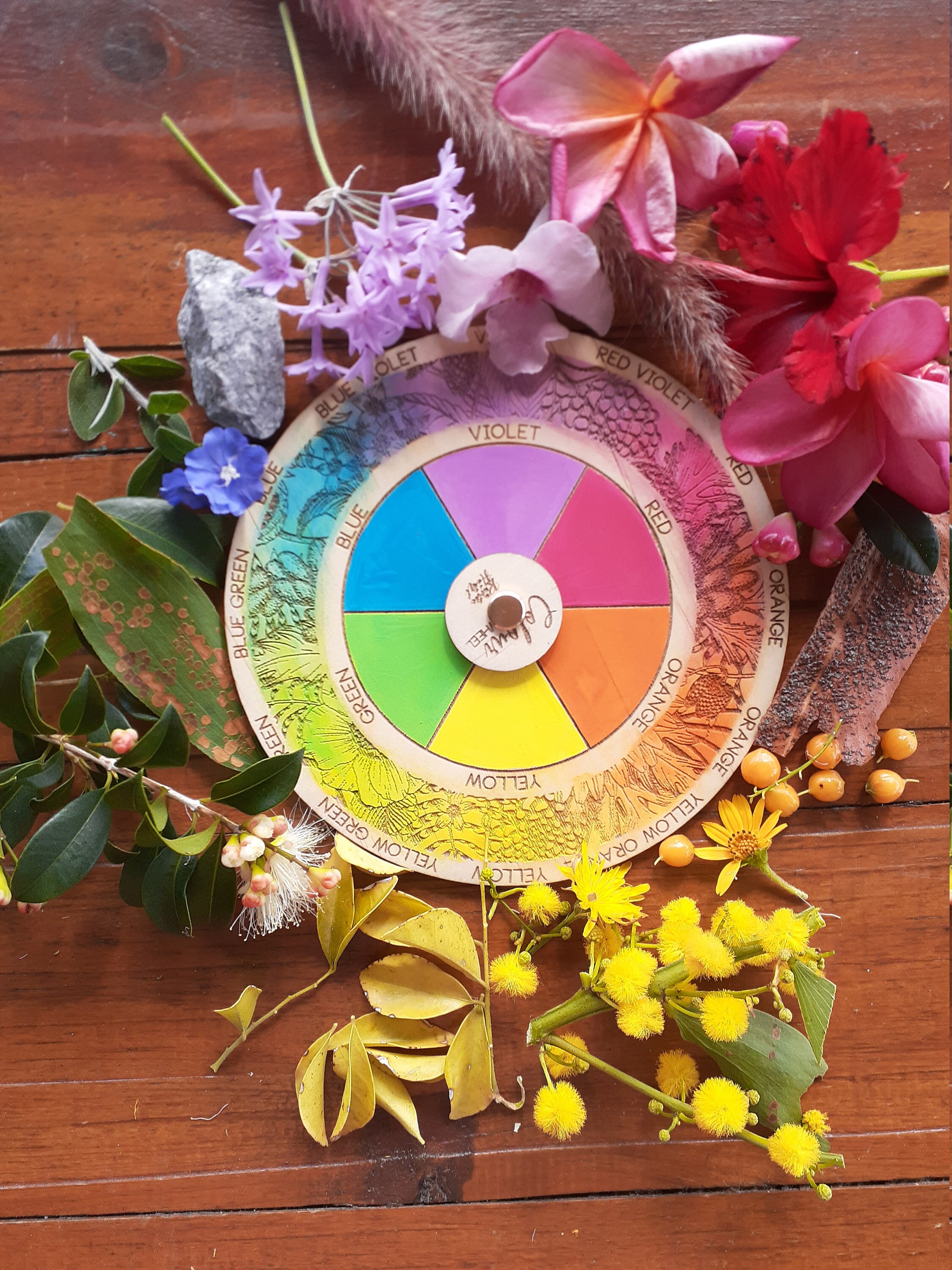 Colour Wheel Art