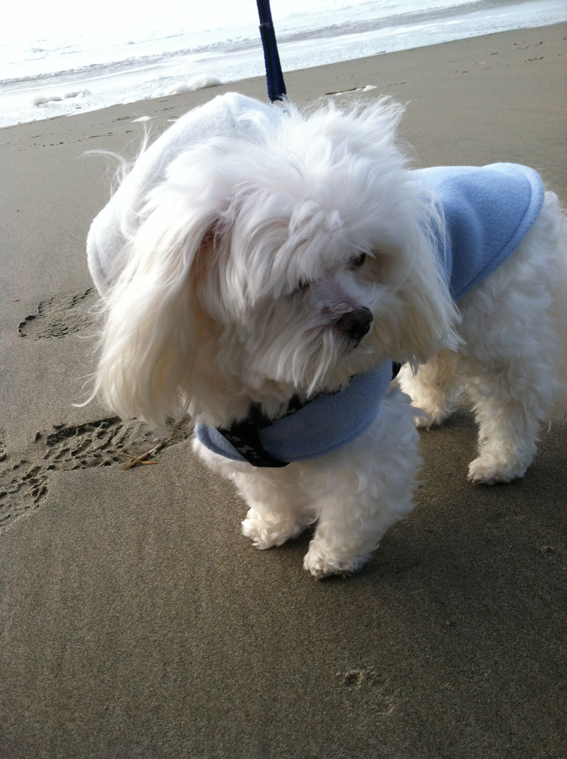 whirly at the oregon coast
