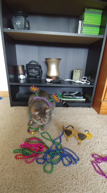 Crafts4Cats