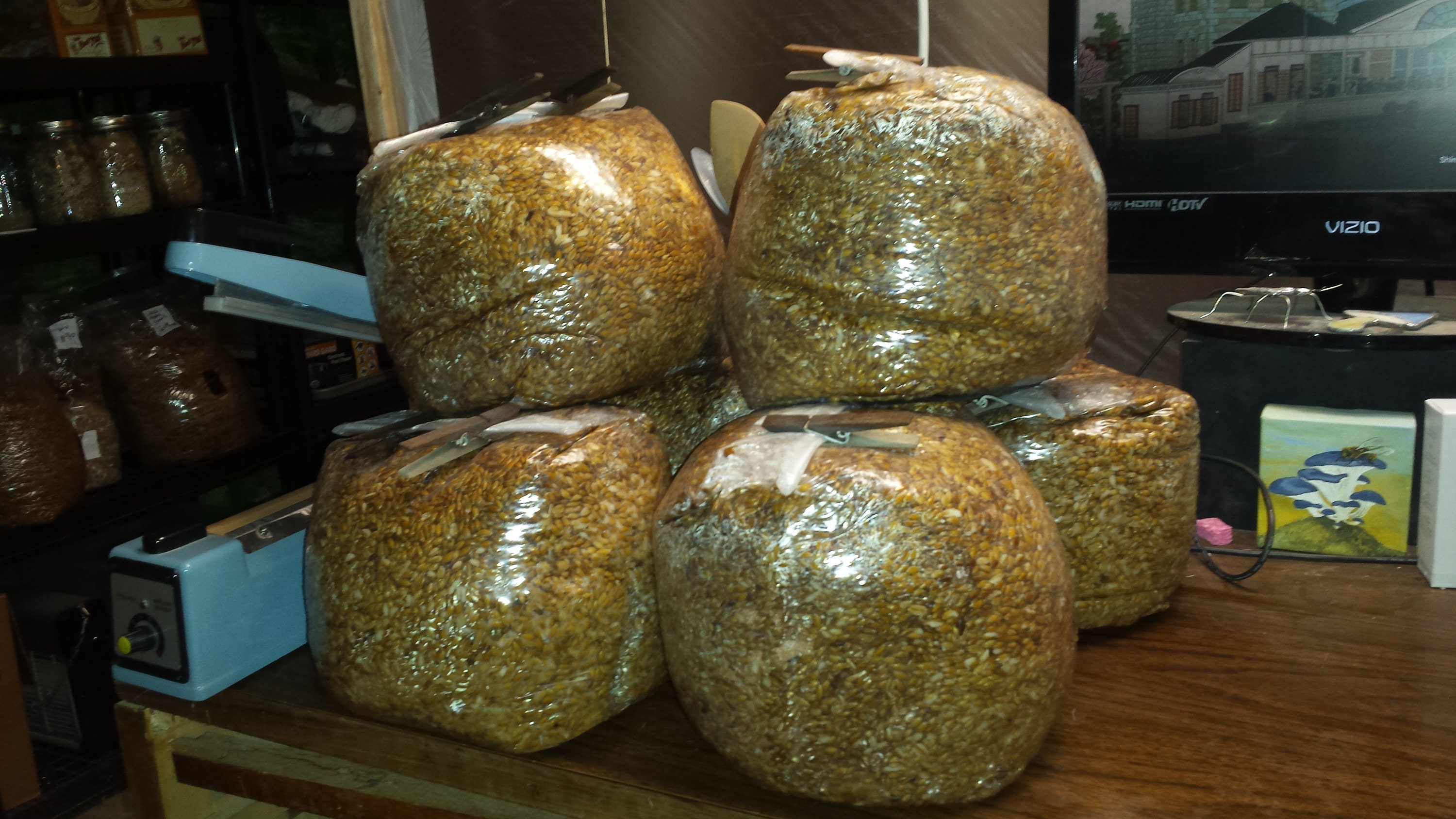 A Look At My Mushroom Grow Room And The Equipment That I Use