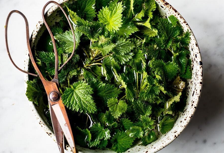 Nettle