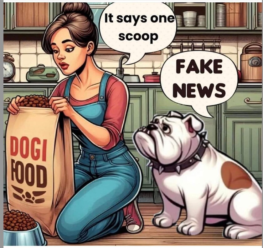 Internet Wisdom