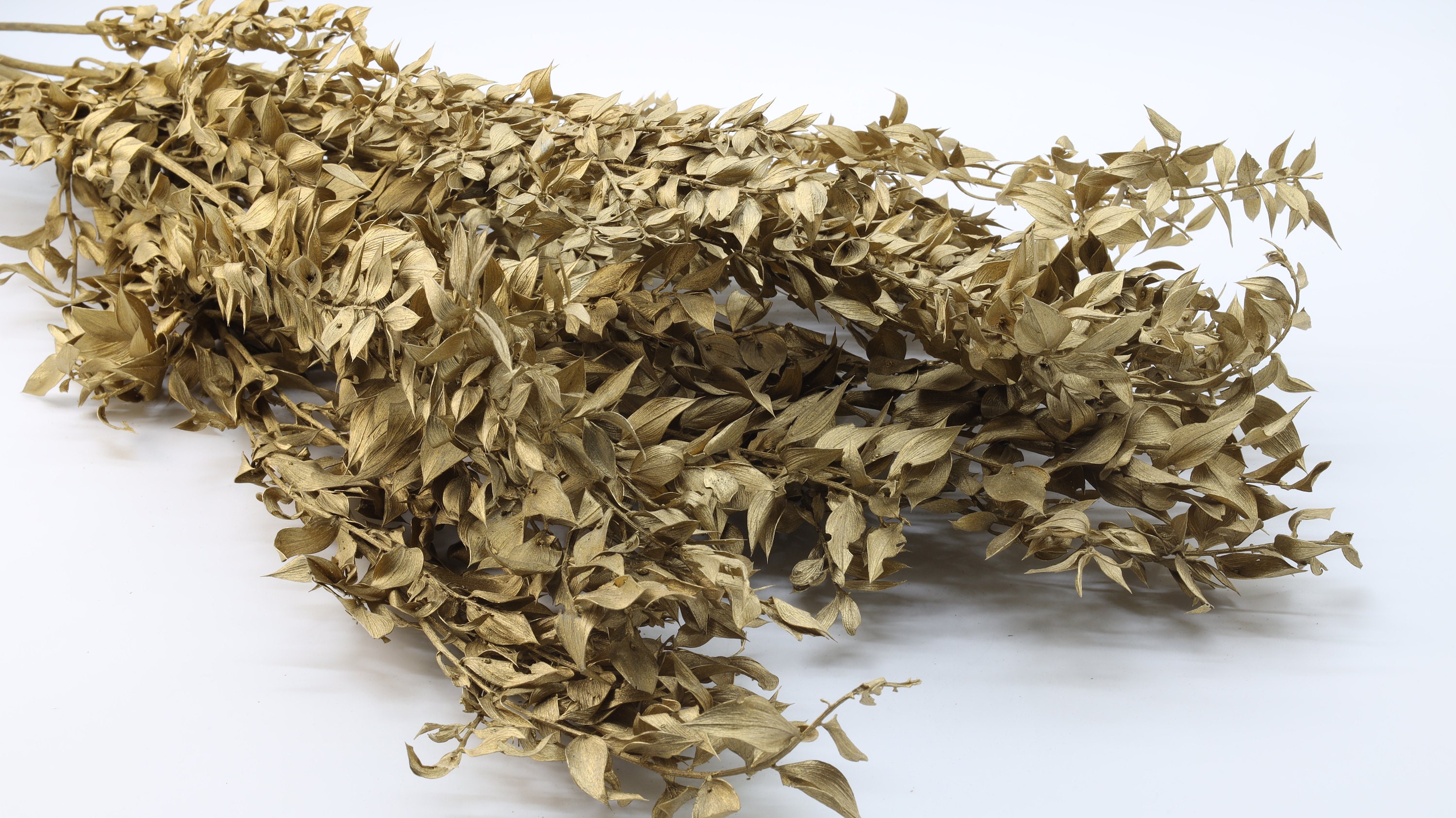 Close-up view of golden Ruscus foliage, showcasing its vibrant golden hues and intricate leaf pattern, adding a touch of elegance and warmth to floral arrangements and decor