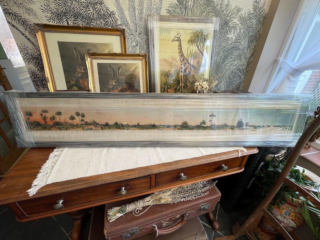 A selction of Poet and the Piper Prints, Frames ready for shipping