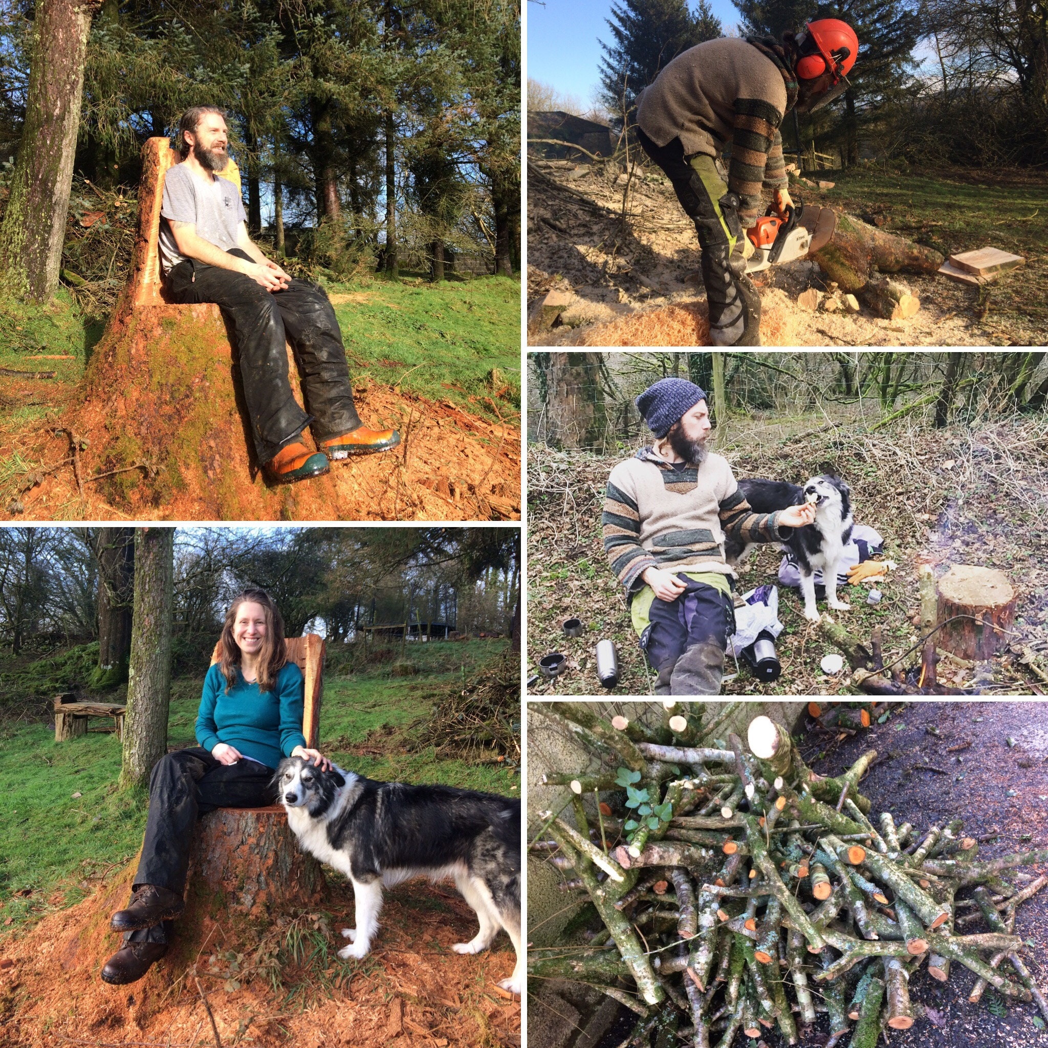 gorlech - out in the woods with Shap