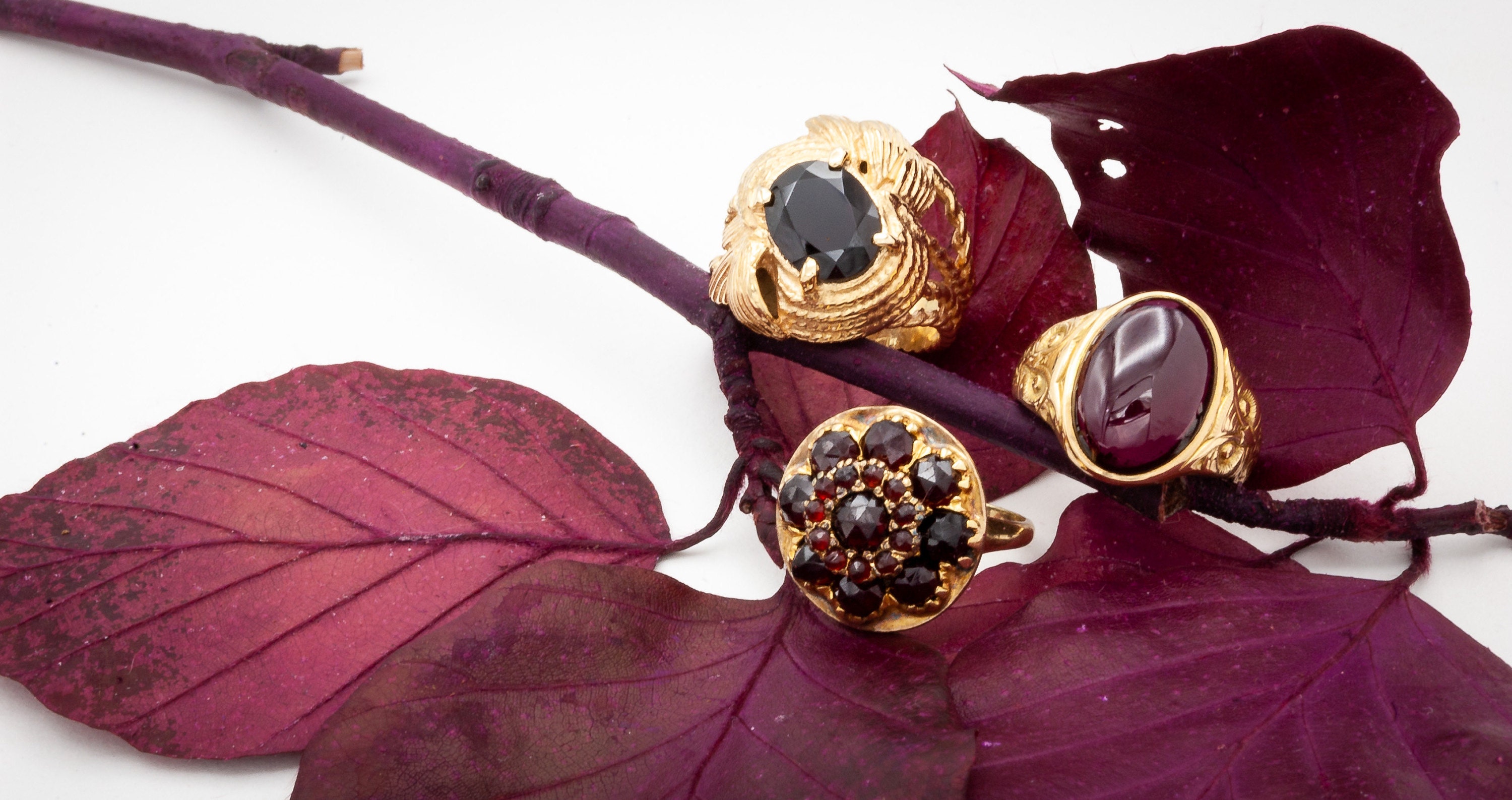 Vintage Garnet Gold Rings with Cabochon and propped on red wine colored leaves and branch