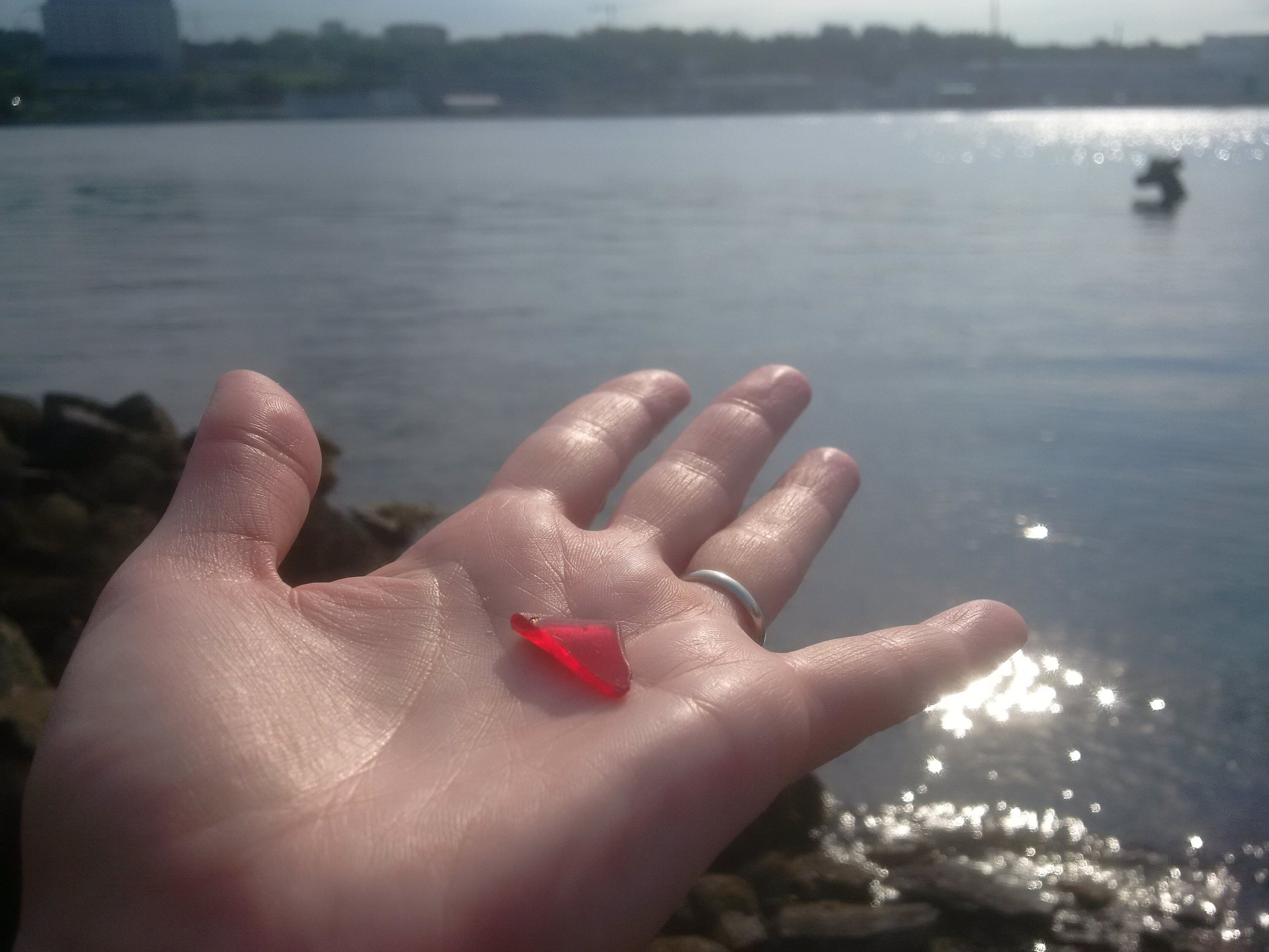 sea glass hunting in halifax nova scotia