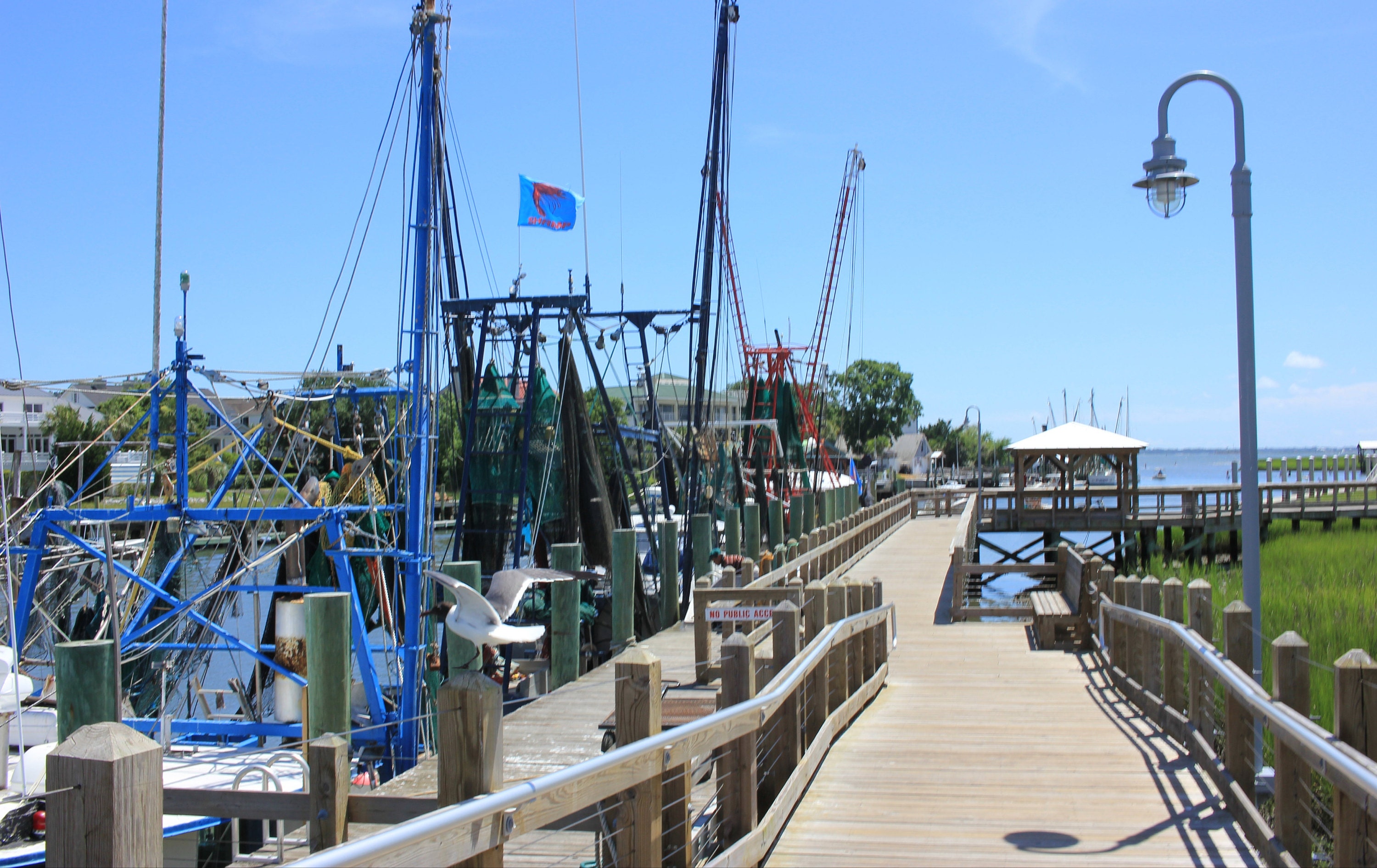 Shem creek