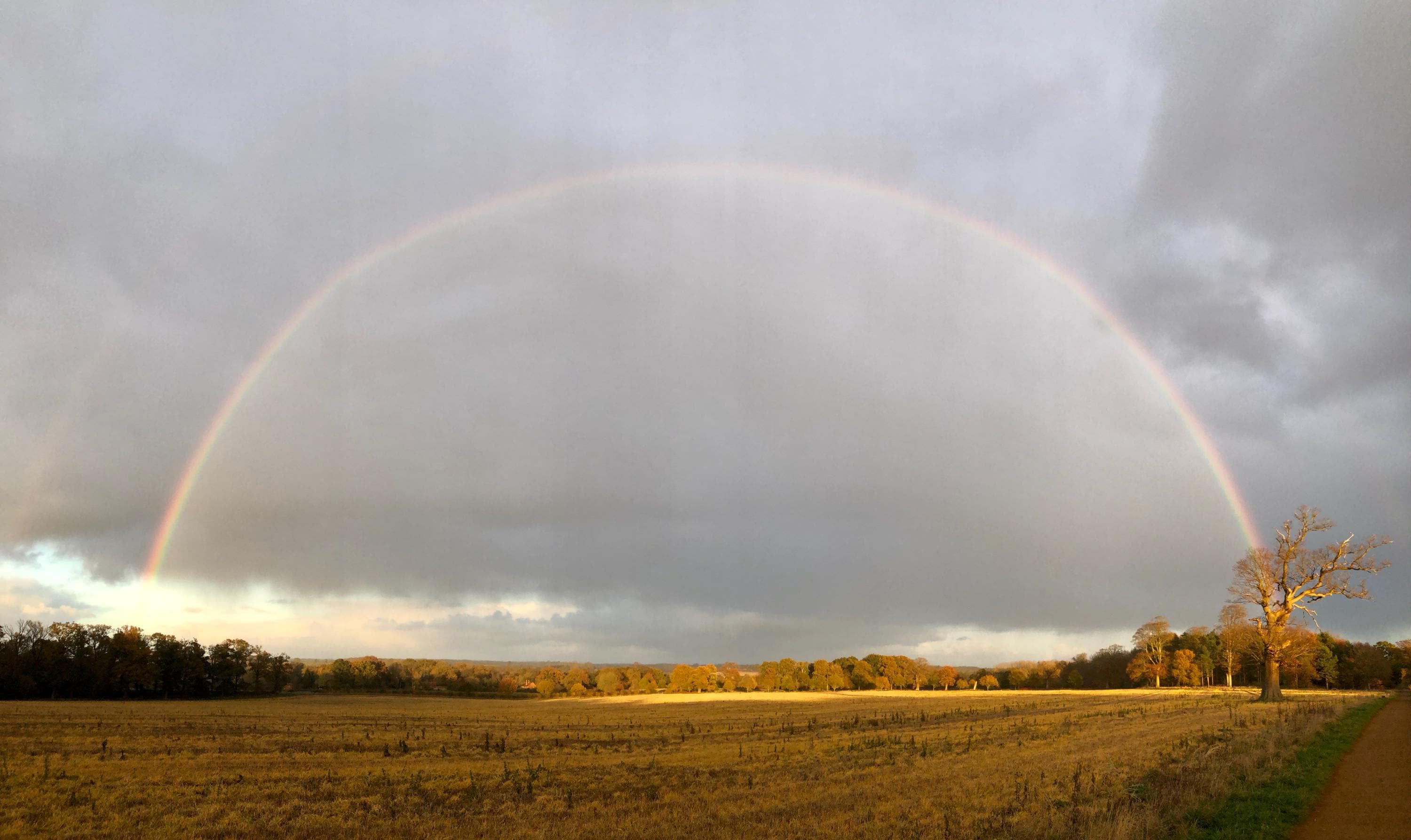 A full rainbow above a field and trees