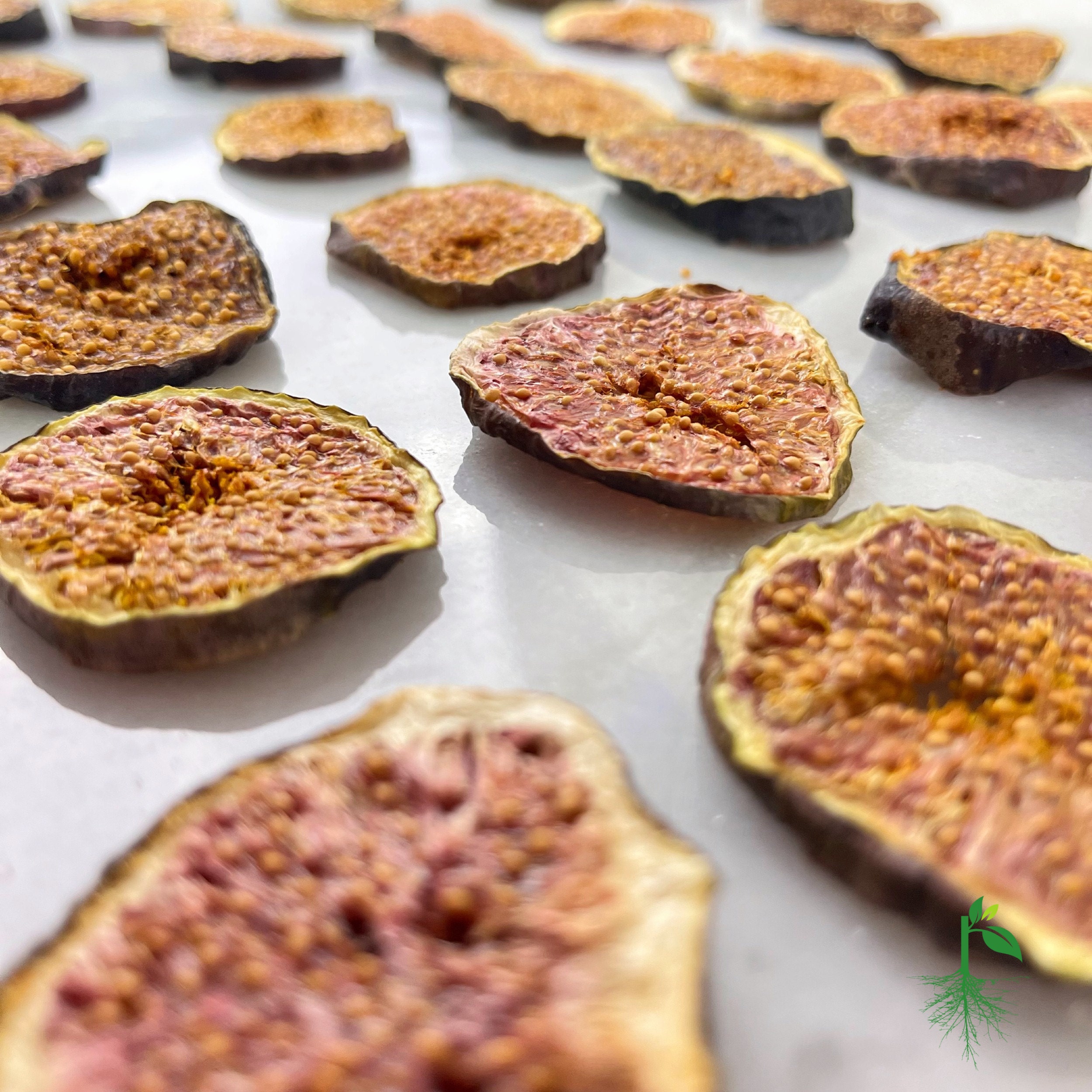 Dried Fig Slices
