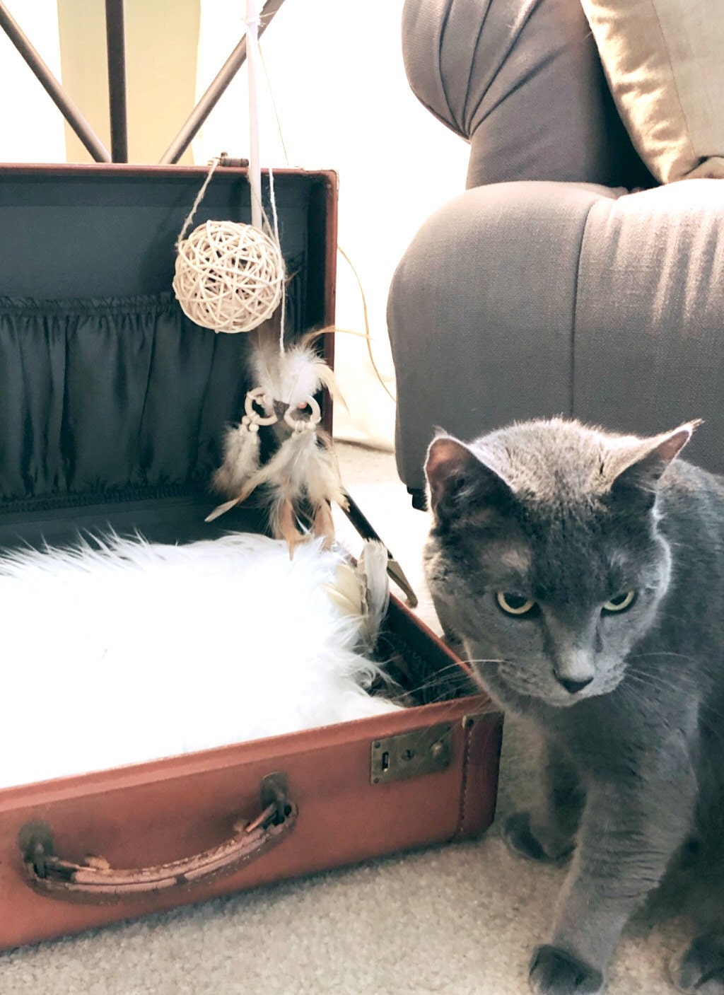 vintage suitcase cat bed