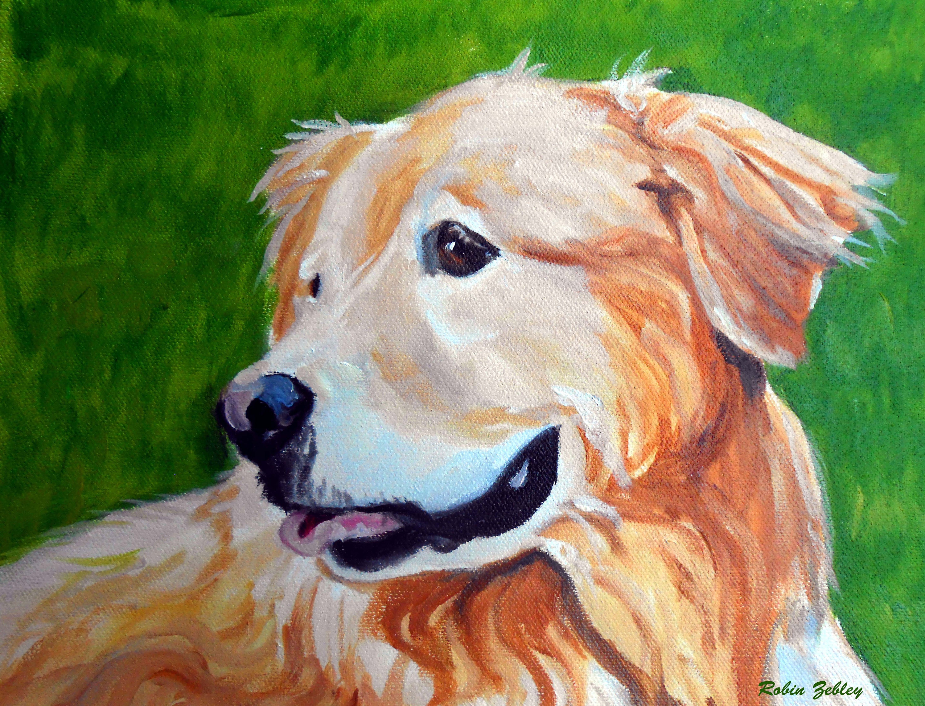How to Order Pet Portrait Oil Painting