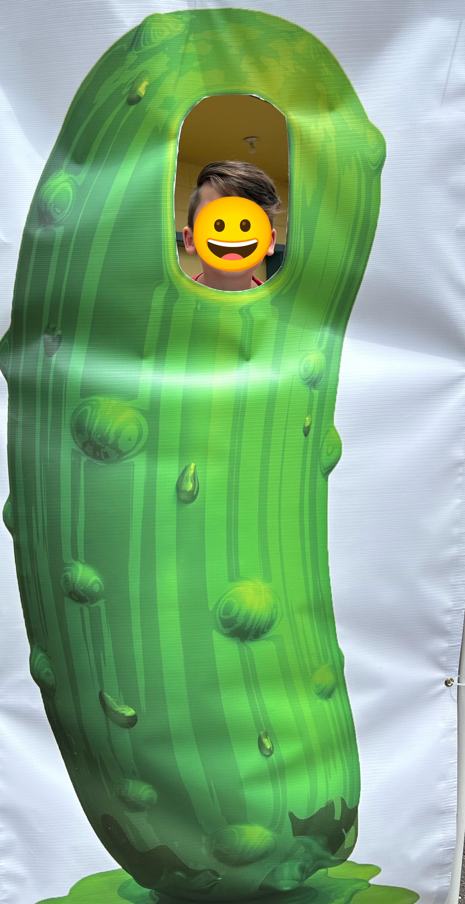 Take your pic in our pickle