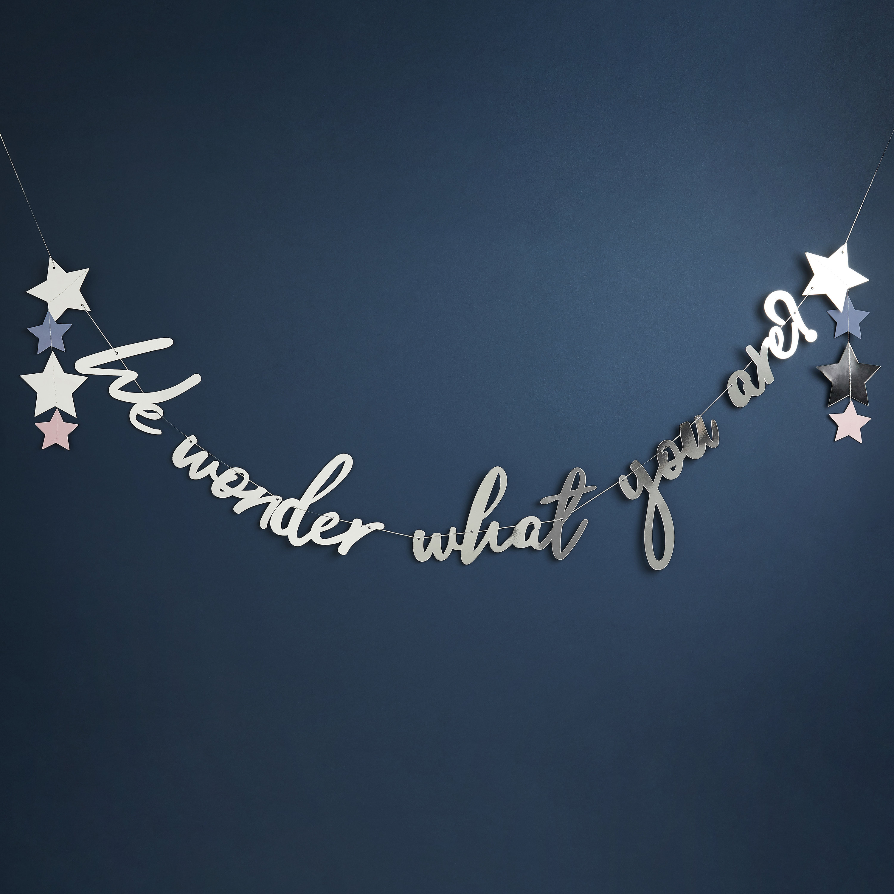 we wonder what you are silver card starry banner