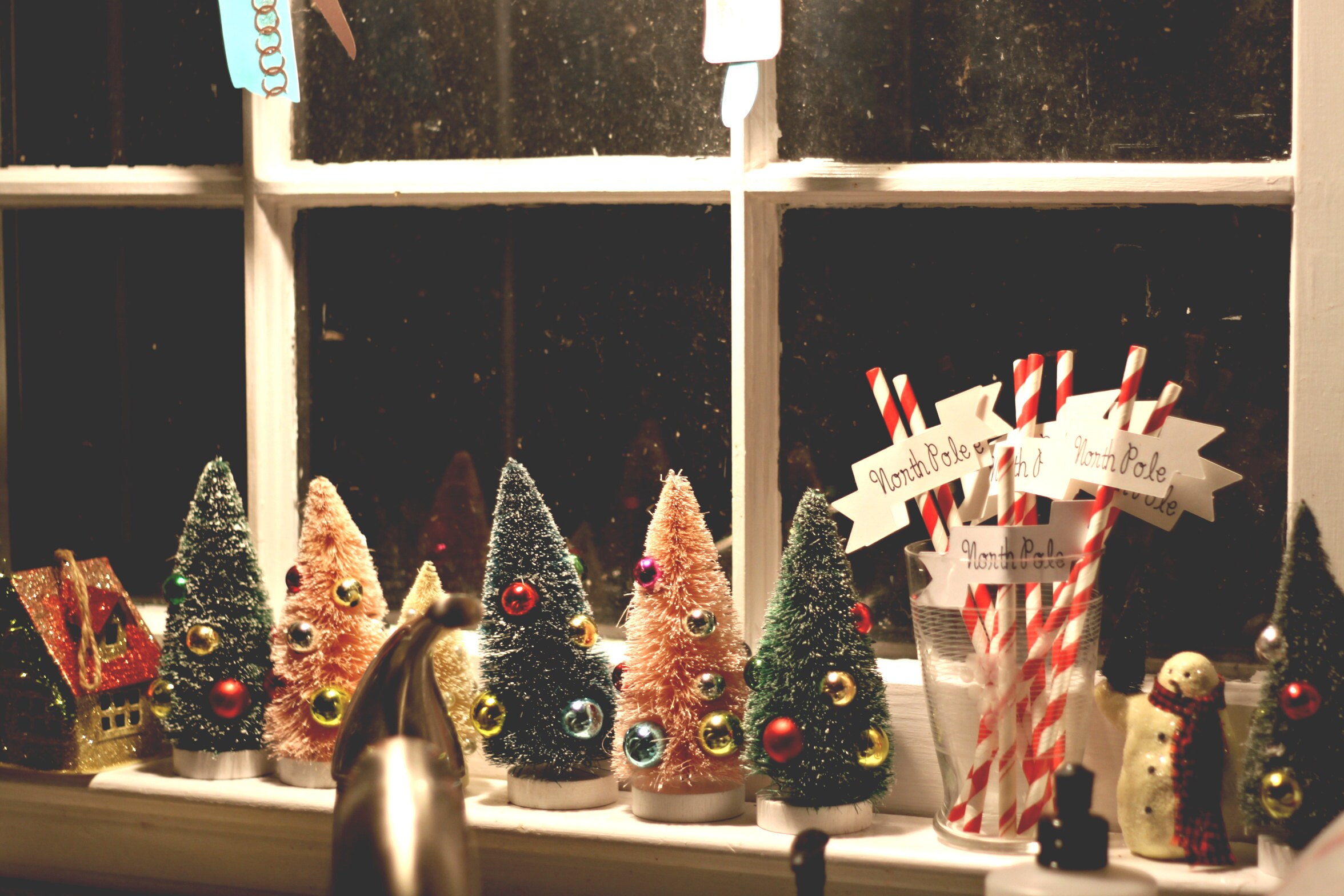 Bottle Brush Trees in Kitchen